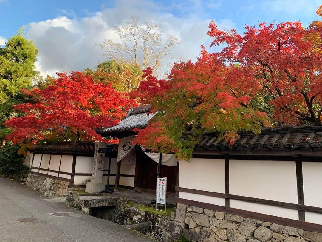 一双麻希 さんのインスタグラム写真 - (一双麻希 Instagram)「少し前の京都🍁(いつも時間差でごめんなさい😅) 用事のついでにぷらっと寄ってみたら、 とっても癒されました、、😭 昔は紅葉なんて気にしてなかったけど、 美しさに気付いたのは、ここ数年、最近だなぁ。 ・ #2枚目は夕暮れ時の🍁 #永観堂 #禅林寺  #思い出したように投稿😅 #寺院巡り #御朱印巡り #京都観光 #紅葉 #京都紅葉 #紅葉スポット #旅好き #自然写真 #自然好き #旅好き女子 #アウトドア女子 #アウトドア好き #日本の風景 #日本の絶景  #trip #travel #nature #naturephotography #japanview #kyoto #kyototrip #japanphotography #redleaves #japanphotography」11月29日 17時37分 - isso_maki315