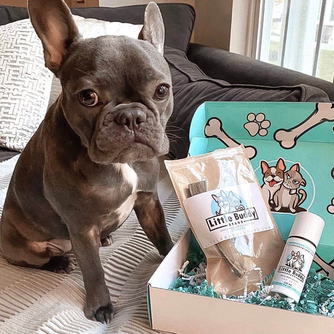 Paige Hathawayさんのインスタグラム写真 - (Paige HathawayInstagram)「Excited to announce that... 🐶🐱🤍@littlebuddybrand is now available on @directhemp!!  Shop directhemp.com for 35% off your entire order for both you and your pets CBD needs. Until midnight tonight (Nov. 29th 12am) ALL ORDERS will receive a FREE $25 GIFT CARD to use on your next purchase or give it to a friend. All orders starting Cyber Monday will receive 35% off and when you spend over $100 you will receive a FREE $25 GIFT CARD. Use code: PHFIT at checkout. Happy Shopping. 😋」11月30日 3時31分 - paigehathaway