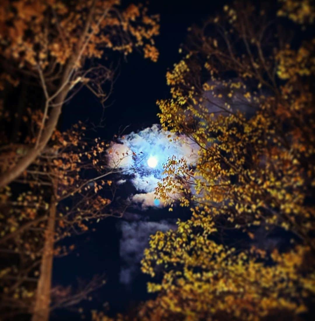 朝倉真司さんのインスタグラム写真 - (朝倉真司Instagram)「見上げたらすごい満月。相変わらず月はうまく撮れない。大阪に来たのは一年弱振り。」11月30日 3時39分 - asacses