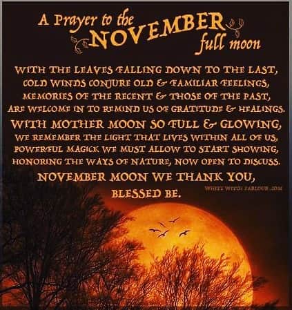 ミーナ・スヴァーリのインスタグラム：「May this upcoming full moon eclipse bring all the peace you desire into your soul. ✨🧡🍁」