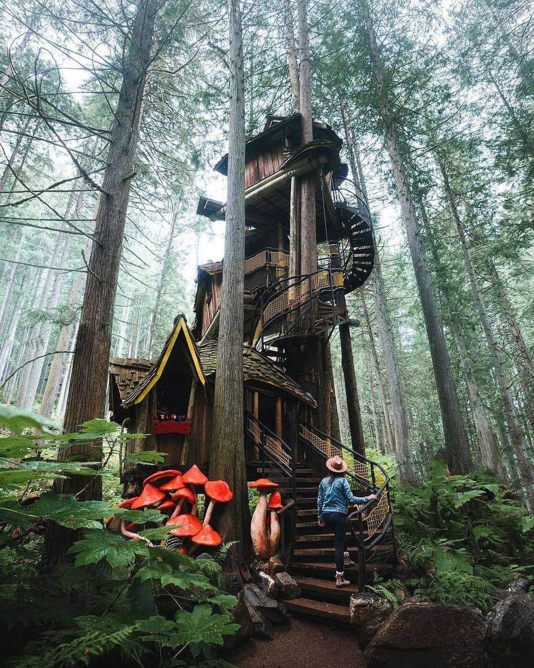 Discover Earthさんのインスタグラム写真 - (Discover EarthInstagram)「Apparently this is the tallest treehouse in Canada but the real thing everyone  is wondering is... Do you think these mushrooms are real?! 🍄 Don't you get some Super Mario vibes🍄 from this picture?  #discovercanada🇨🇦 with @braybraywoowoo  . . . .  #bc ​#britishcolumbia ​#beautifulbc  #canada  #explorebc  #explorecanada ​ #treehouse  #naturelovers  #autumn  #travelgram  #wanderlust  #wood  #instagood  #house  #instagram  #art  #summer  #holiday  #adventure  #photooftheday  #travelphotography  #architecture  #naturephotography  #forest」11月29日 20時00分 - discoverearth