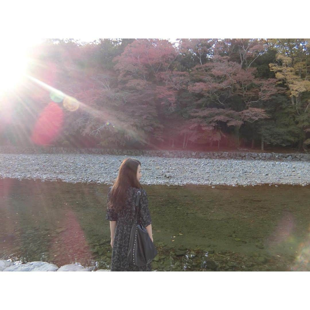 茨木菜緒さんのインスタグラム写真 - (茨木菜緒Instagram)「. ⛩伊勢神宮 少し早いけど、今年最後の参拝 1年の感謝の気持ちを込めて🙏 . 何回来ても伊勢神宮の空気感が凄く好き🌿 . #伊勢神宮 #伊勢 #外宮 #内宮 #神社 #power」11月29日 20時01分 - kudonao2218