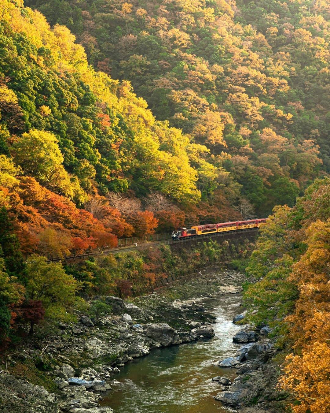 Koichiのインスタグラム：「| Into the autumn 🚂🍂  #BeautifulJapan #Hellofrom #Kyoto  #保津峡 #トロッコ列車  Lens filter RF-CPL @tokyo_grapher  .」