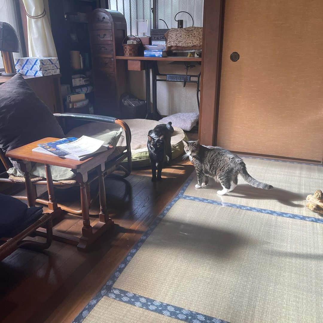 のインスタグラム：「パイドパイパー、ロデムを倒す！」