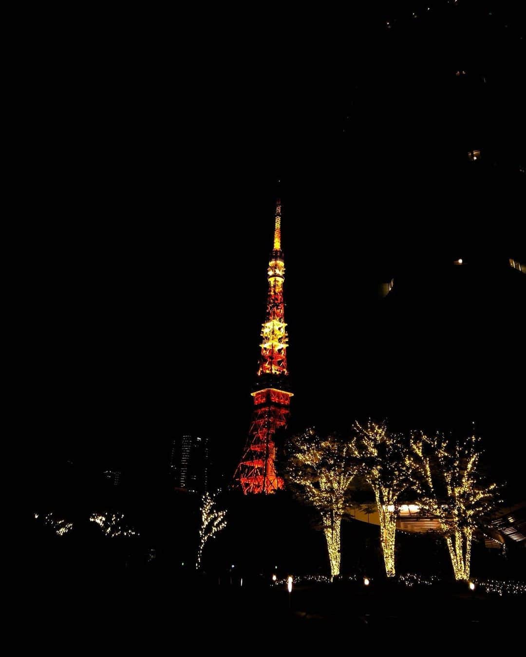 川本紗矢さんのインスタグラム写真 - (川本紗矢Instagram)「☺︎ . 先月、東京タワーに行きました🗼 東京タワーは、初めて東京に来た時に 家族と訪れた思い出の場所でもあり、 時々行くと心が癒される好きな場所です＾＾ . Aku pergi ke Menara Tokyo bulan lalu🗼 Menara Tokyo adalah tempat favorit aku＾＾」11月29日 20時28分 - sayaya_38