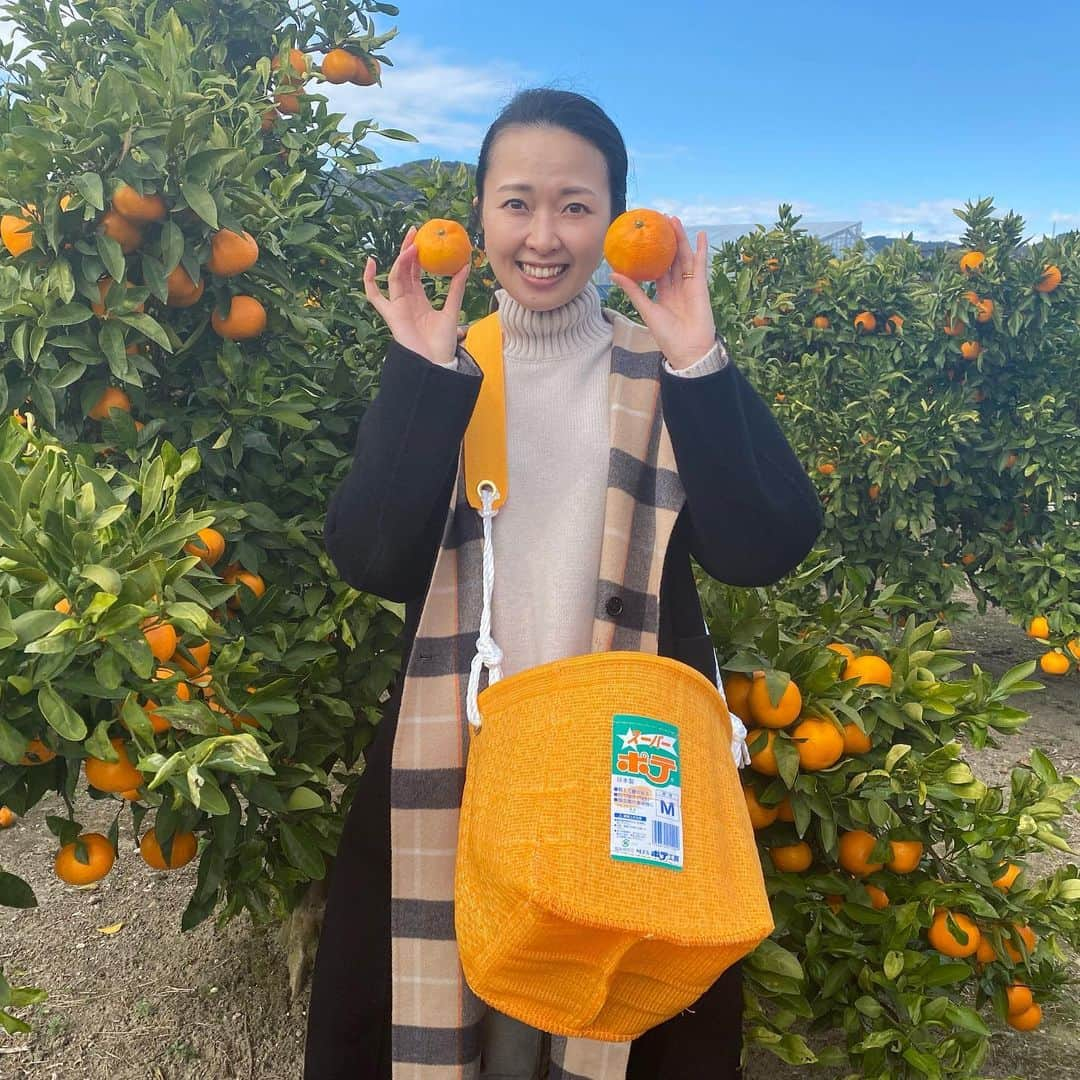 徳重杏奈さんのインスタグラム写真 - (徳重杏奈Instagram)「🍊﻿ メ〜テレのお仕事で﻿ 愛知県蒲郡市へ﻿ ﻿ 蒲郡市観光大使の﻿ #しがせいこ さん #加藤康弘 さん﻿ インフルエンサーの﻿ #石原知哉 くん  #あーちゃん と﻿ 蒲郡市内を﻿ 密を回避しながら楽しくロケしました。﻿ ﻿ いいお天気で気持ちよかった✨﻿ ﻿ 色々なことを気にしなくてよくなったら﻿ ぜひ蒲郡にお越しください🥳﻿ ﻿ わたしもまたゆっくり来たいなぁ…🍊﻿ ﻿ ロケの模様は﻿ #がまごおりアワード 公式アカウントの TikTokとInstagramに﻿掲載される予定です。 ほーんの一部、PR用の動画はテレビでも🙌﻿ ﻿ またお知らせします😌﻿ ﻿ ﻿ ﻿ @gamagori_award﻿ @shigaseiko_official ﻿ @katoyasu513 ﻿ @tomoya_kamukamupain1008 ﻿ @butterfly_ayk ﻿ #ただいま #愛知 #蒲郡 #竹島 #蒲郡みかん #名古屋 #メーテレ #アナウンサー #徳重杏奈」11月29日 20時30分 - anna.tokushige