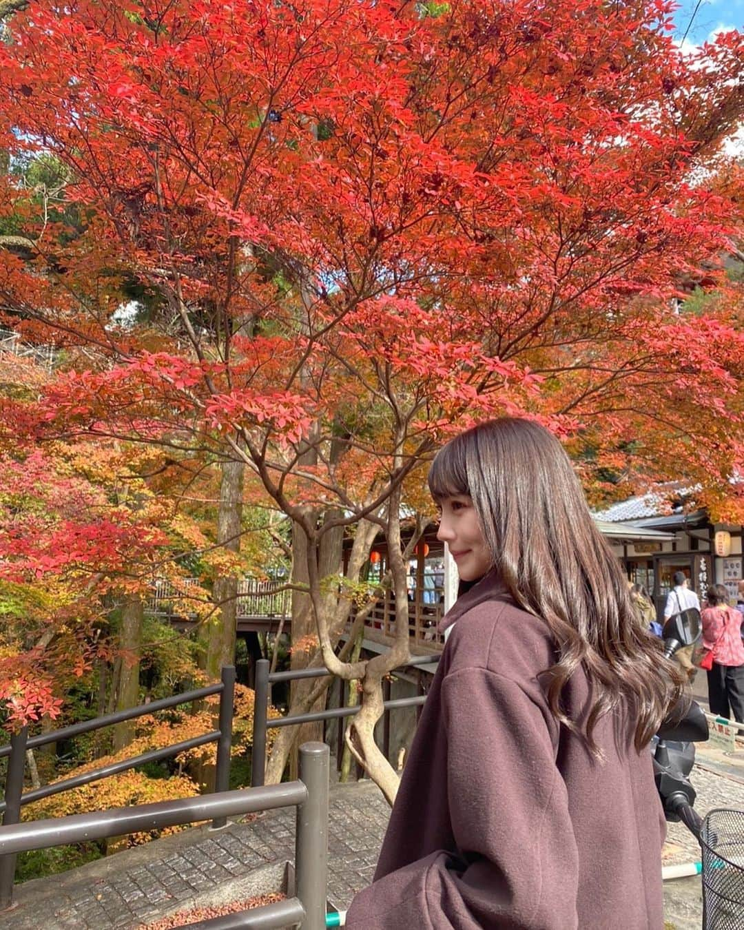 小嶋真子さんのインスタグラム写真 - (小嶋真子Instagram)「少し前に見に行った紅葉...🍁 うっとりするくらい綺麗でした☺️🍂」11月29日 20時38分 - makochan_2525