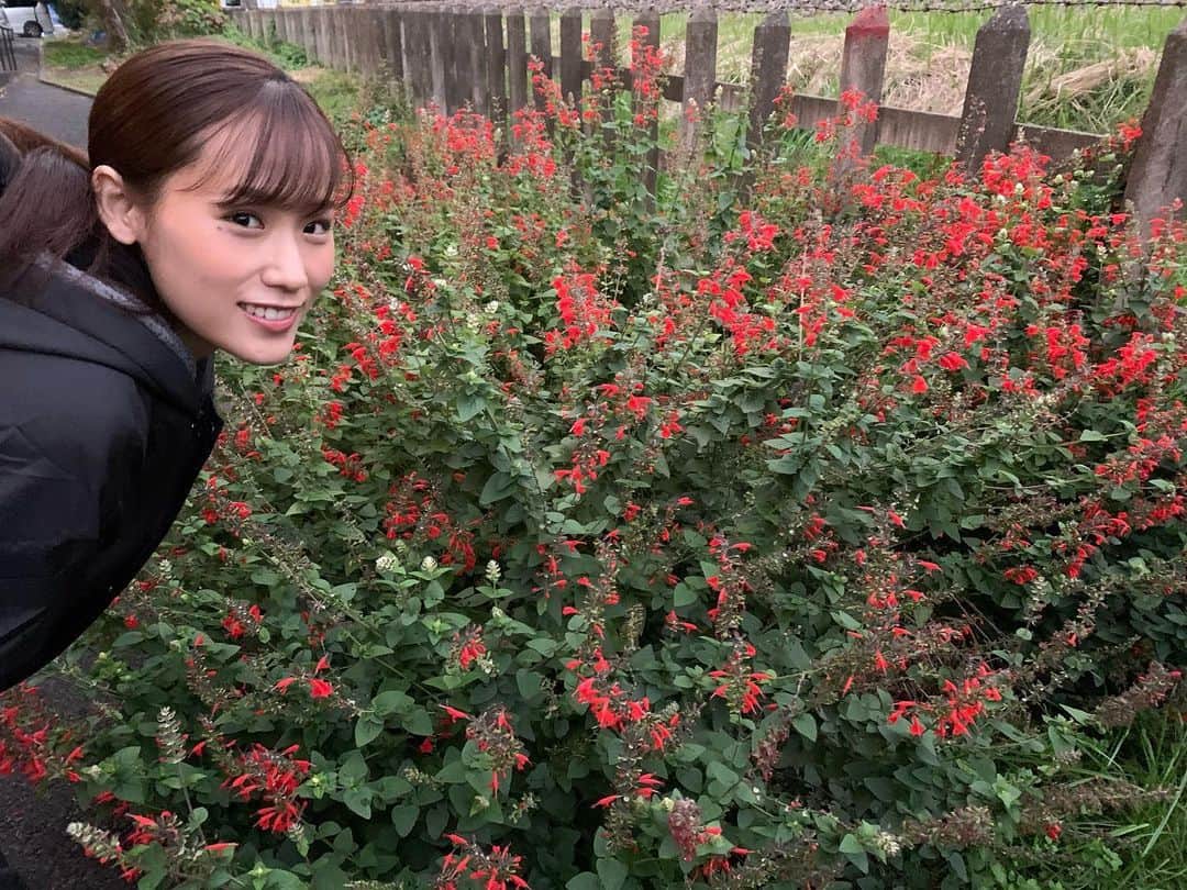 秋山ゆずきのインスタグラム：「. . 寒いと体力が奪われますね😳 こんばんは 今日はタイツを2枚履きました。 明日はもっと寒いらしいので 3枚かな。  マネージャーさんが この写真の奥のコンクリートの 柱みたいなものに めちゃくちゃ感動してました。  不思議。笑  暖かくしてお過ごしください🙆‍♀️  #寒い日」