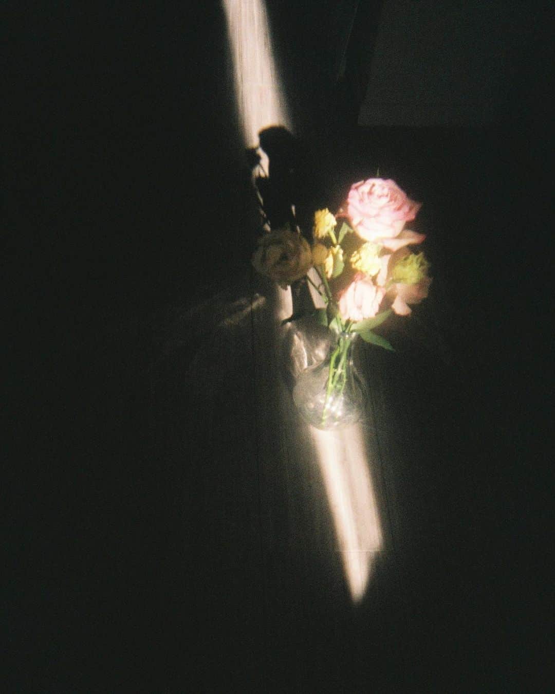 染野有来さんのインスタグラム写真 - (染野有来Instagram)「枯れる時も綺麗に。」11月29日 20時57分 - yura_someno