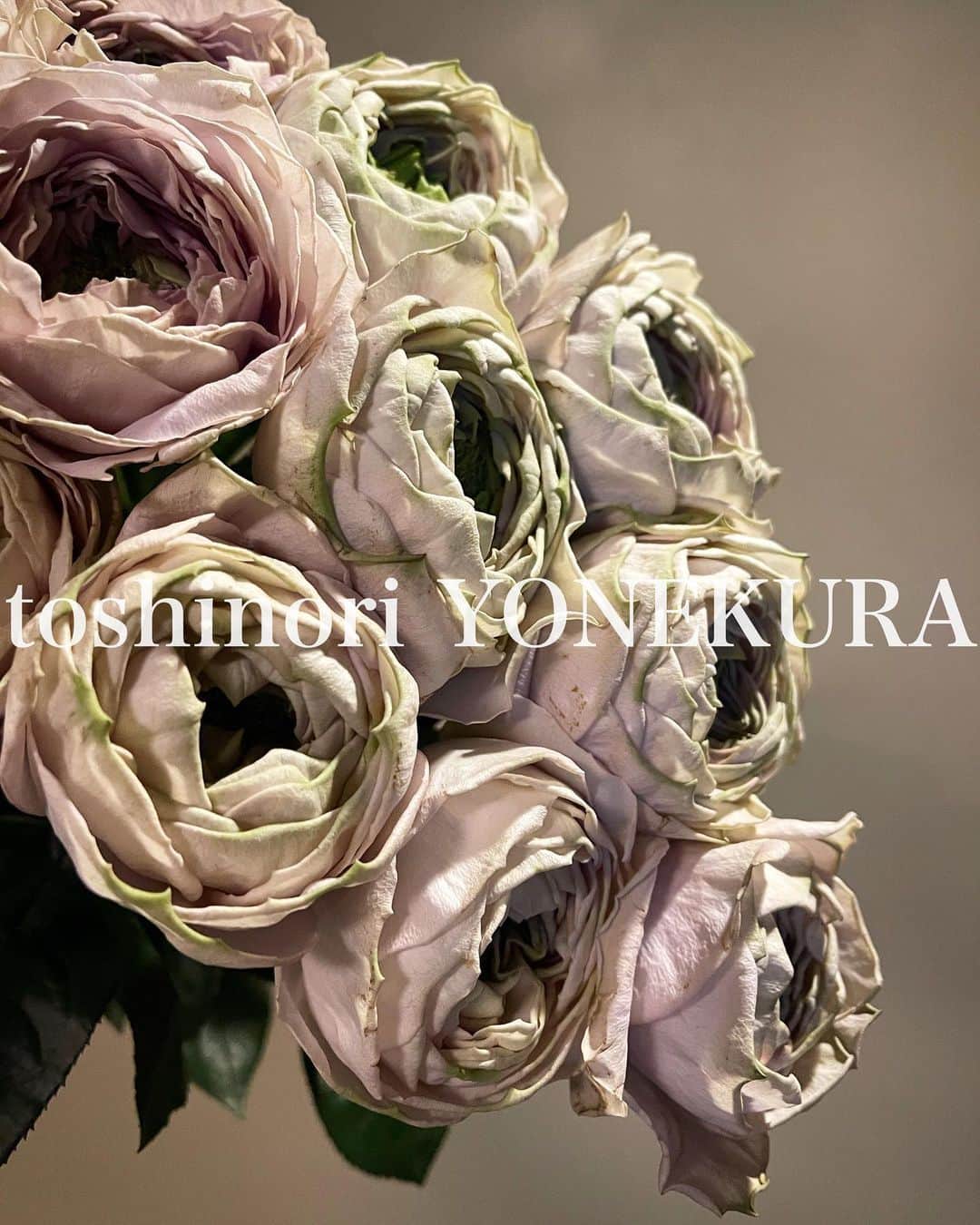 米倉利紀さんのインスタグラム写真 - (米倉利紀Instagram)「flowers of this week #男花 #花のある生活」11月29日 20時50分 - toshi_yonekura