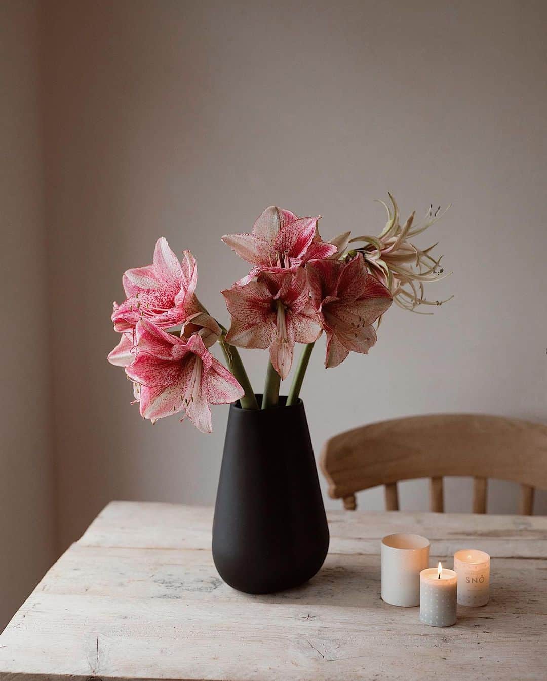増田由希子さんのインスタグラム写真 - (増田由希子Instagram)「Beautiful amaryllis ❤️ #amaryllis #cooee #anneblack  アマリリスの切り花は、11月から出回ります。先日珍しい品種を見つけたので買ってきました。右奥の細い花弁のタイプは、シビスター種。原種だそうです。 #アマリリス」11月29日 21時09分 - nonihana_
