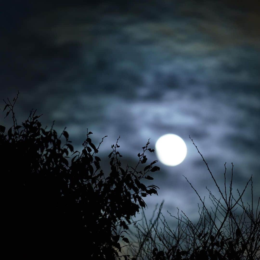 KAGAYAさんのインスタグラム写真 - (KAGAYAInstagram)「空をご覧ください。 高く十五夜の月が昇りました。（先ほど撮影） 今月の満月は十六夜で、明日の晩です。 今日もお疲れさまでした。 だいぶ気温も下がりましたので暖かくしておやすみくださいね。 #星空 #moon」11月29日 21時20分 - kagaya11949