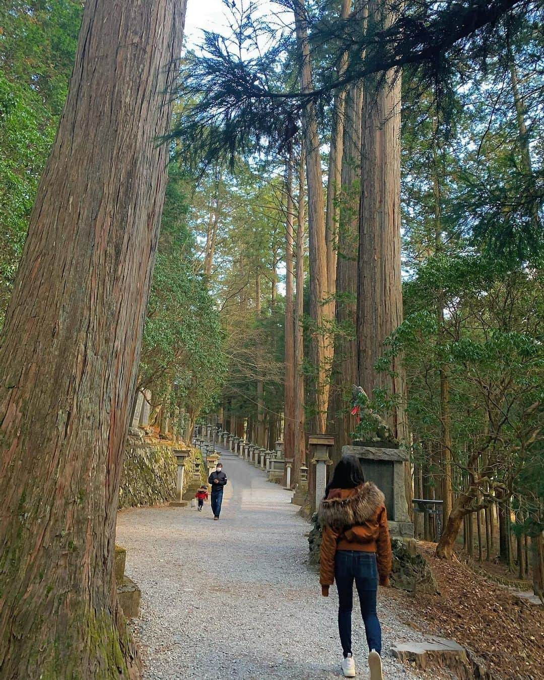 えがさりさんのインスタグラム写真 - (えがさりInstagram)「本当に綺麗だった  来年も良い年になると良いな🧚早い笑」11月29日 21時32分 - arielluv1