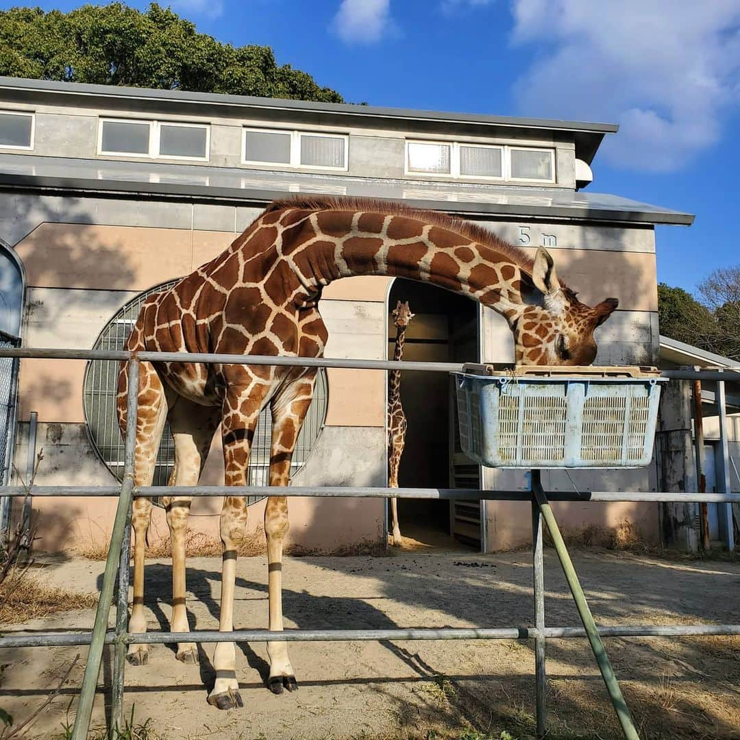 田畑竜介のインスタグラム