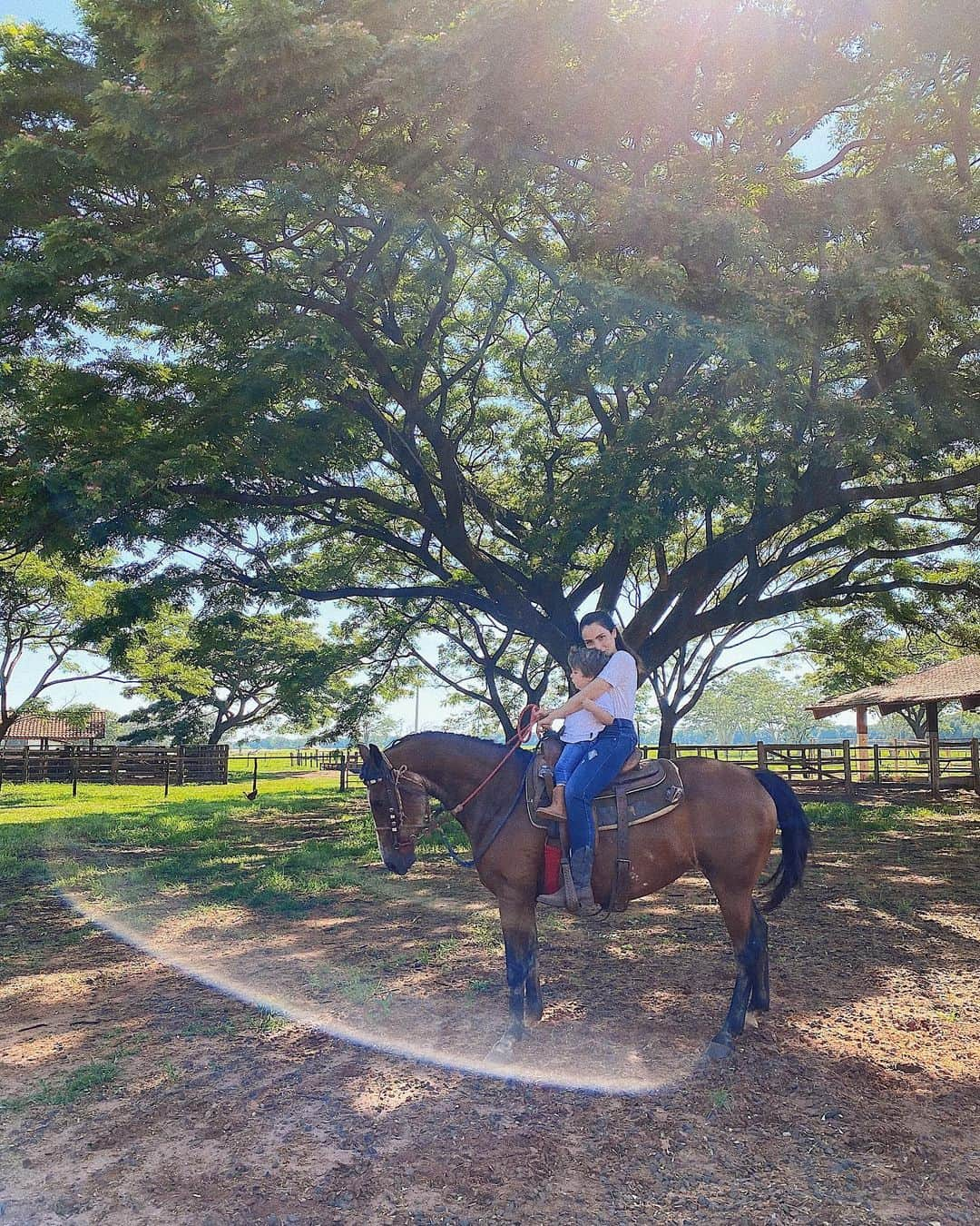 Lalá Noletoさんのインスタグラム写真 - (Lalá NoletoInstagram)「Fazendo com ele o que ele mais ama: cavalgar 🏇🐎🐴 #lalanafazenda」11月29日 21時38分 - lalanoleto