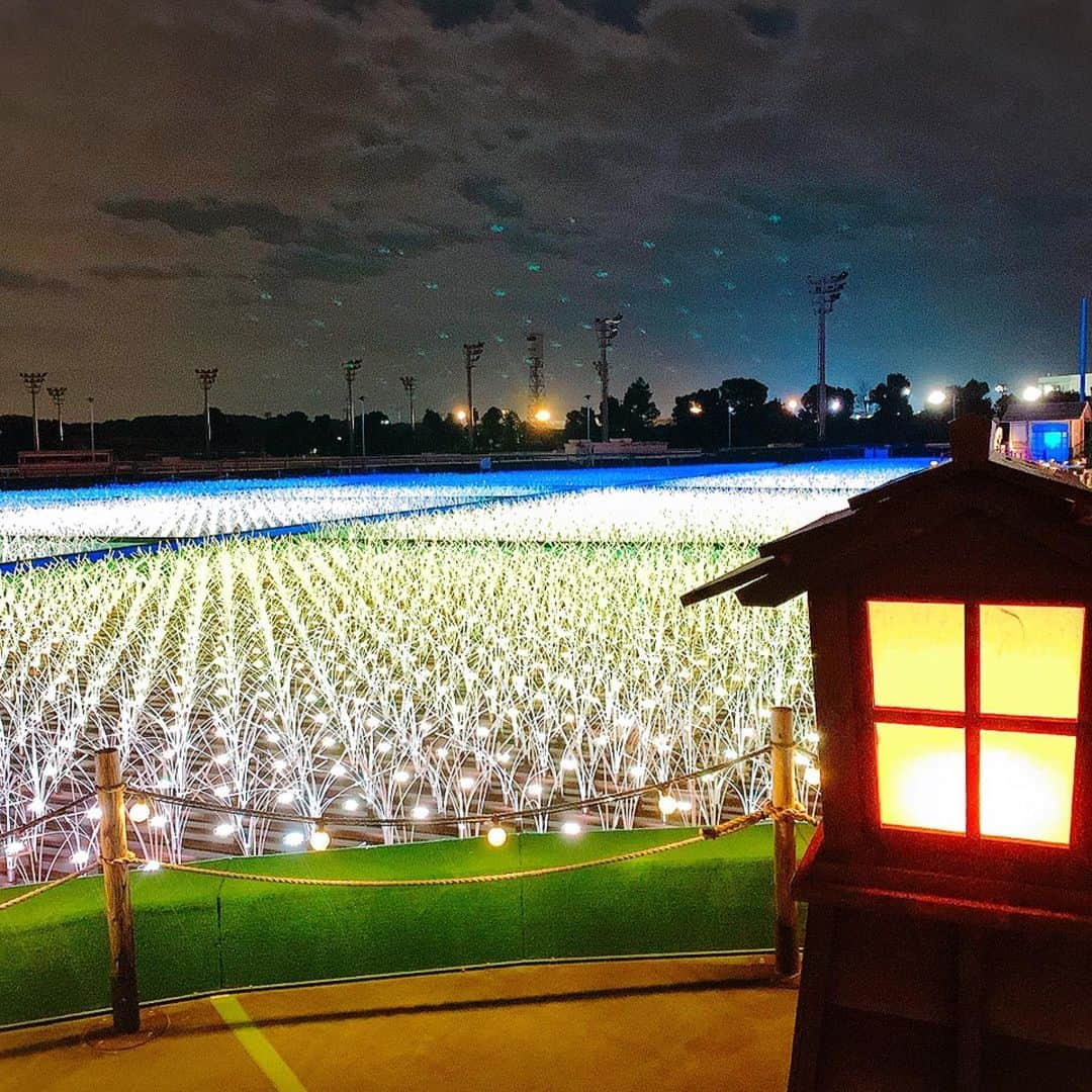 青木美香さんのインスタグラム写真 - (青木美香Instagram)「大井競馬場のメガイルミ✨ 綺麗でした🥰  #大井競馬場#東京メガイルミ」11月29日 21時39分 - aokimikaa