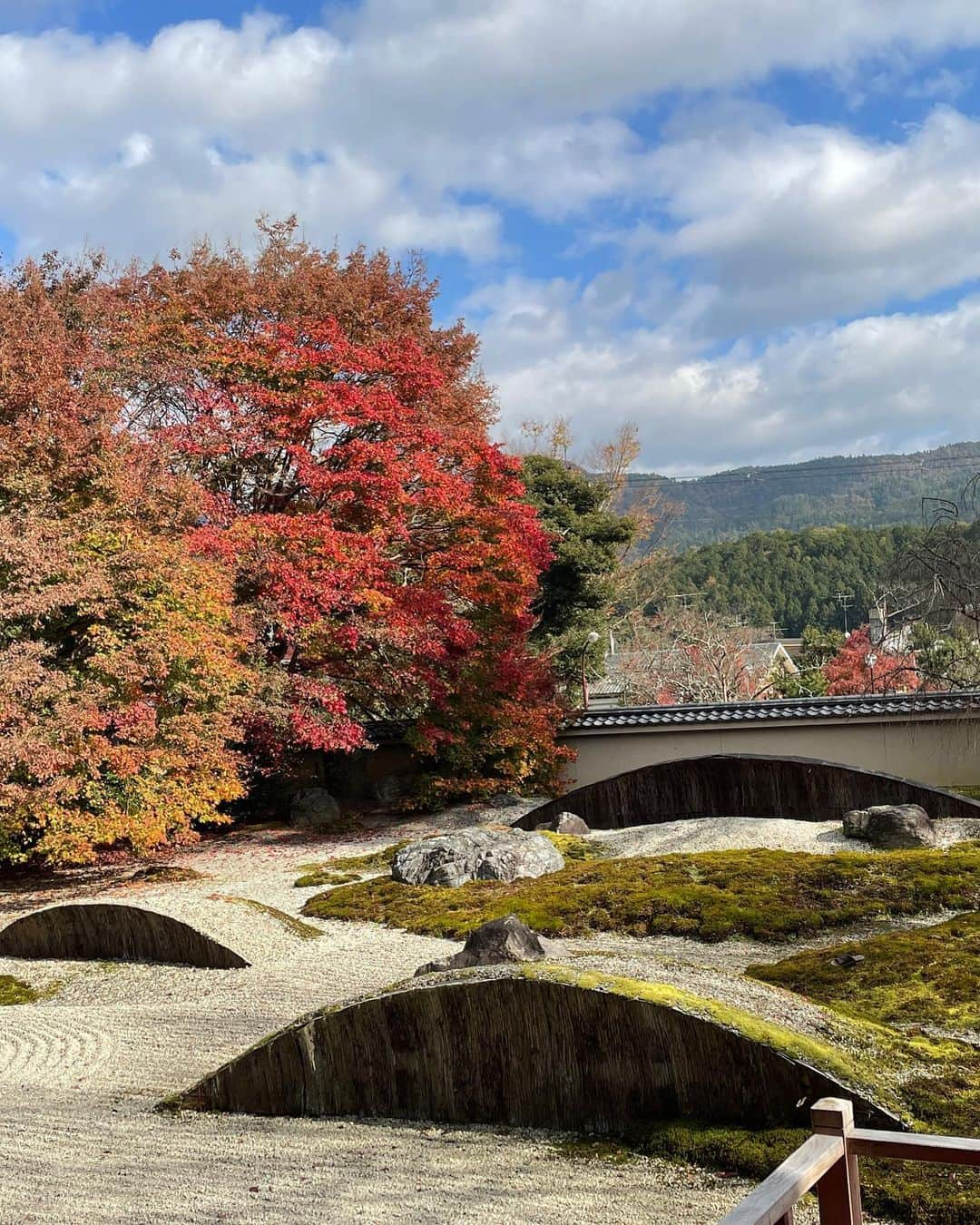 川村真洋さんのインスタグラム写真 - (川村真洋Instagram)「紅葉を眺め、ゆっくりと過ごせた。こんな秋は何年ぶりだろう😌　竹、かっこいい！  temple🍁＊・° I'm happy just to sit here and look at the scenery.  #真洋 #MAHIRO #마히로 #ろってぃー #おそろってぃー #ロッティーシャツ#rottybean #紅葉　#竹　#寺」11月29日 21時45分 - mahiro_kawamura_official