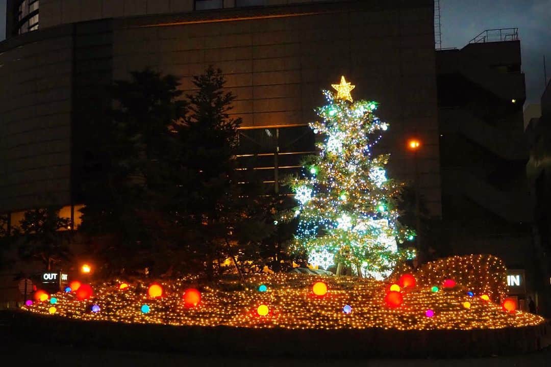 ホテル ニューオータニさんのインスタグラム写真 - (ホテル ニューオータニInstagram)「巨大なクリスマスツリーや、光り輝く13万球のイルミネーションに包まれた “Winter Wonderland”で、大切な方との絆を育む幸せなひとときを。  ◇クリスマスにぴったりな宿泊プラン・お食事・イベントをご用意しております。詳細は、 @hotelnewotanitokyo プロフィールより公式ウェブサイトへ。 ◇◇お知らせ ホテルニューオータニを名乗る偽アカウントにご注意ください。 (偽アカウントはアカウント名が異なります。公式アカウント名 @hotelnewotanitokyo であるかご確認ください。)  Enjoy the holiday magic with our festive offerings and experiences at @hotelnewotanitokyo 🎄✨」11月29日 21時58分 - hotelnewotanitokyo