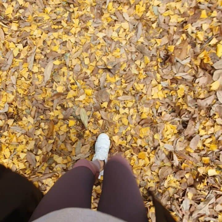 ユ・ハナのインスタグラム：「낙엽한가득🍂 가을은 기억이 안나고 너무 춥기만 해요. 그래도 마음은 따뜻하면 좋겠어요. 더 푸른 새싹이 나기위해 지금 낙엽은 떨어질테니까. 아쉬워말고 설레는마음으로 봄을 기다려야겠어요. 지금보다는 낫기를...🙏 이런밤갬성..같으니🤣  #수다캘럭시 곧 마감이에요. 보틀도 디올립스틱도 받으시고 깜짝선물처럼 기분좋아지셨길🎶  내일 #라이너프리 로 만나요💕」