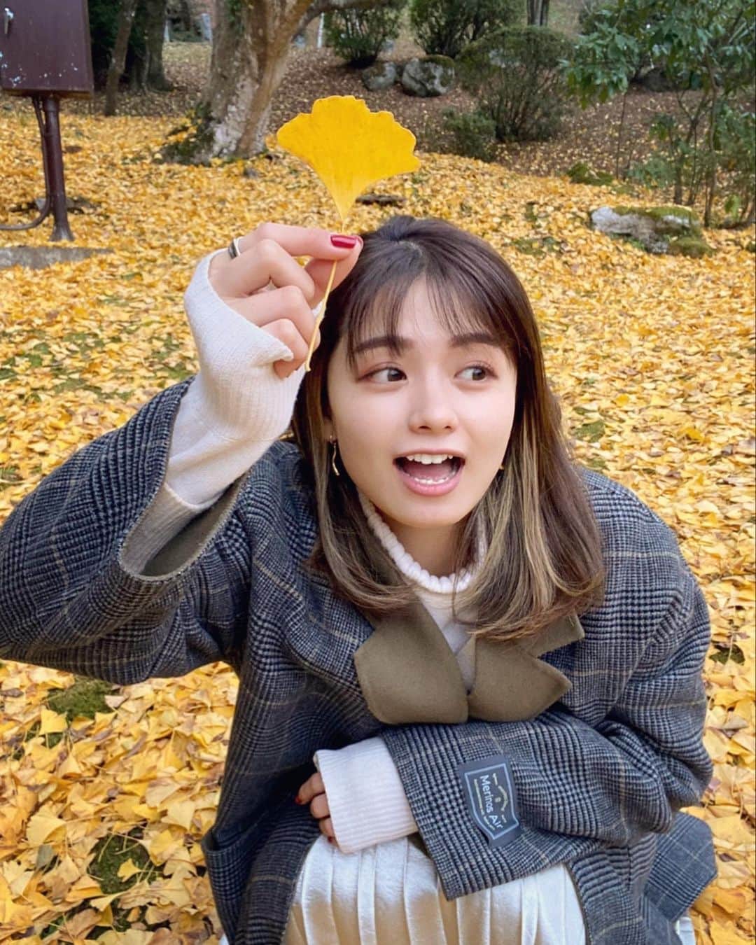 足立佳奈のインスタグラム：「紅葉見にいこうよう。笑、、と言って、 なかなかいけなかったので、 今日はゆっくりお散歩してました☺︎☺︎  #今日の足立 #あだちふく #紅葉」