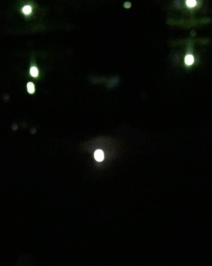 中山来未のインスタグラム：「池に映った🌕」