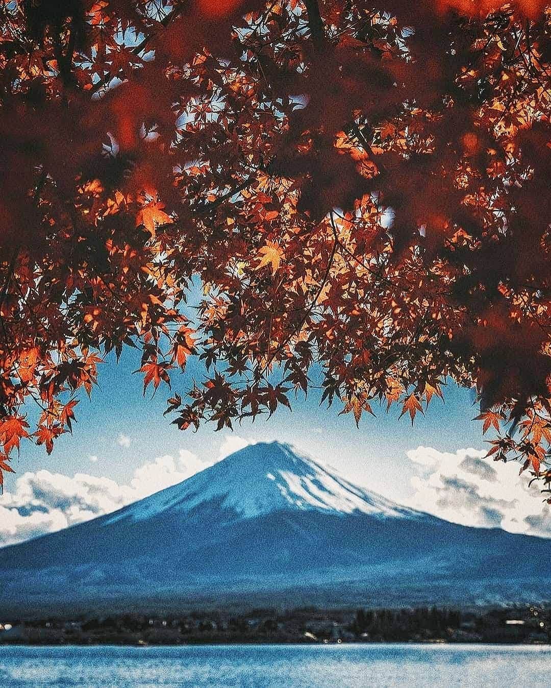 Berlin Tokyoのインスタグラム：「Red maple leaves dance above the majestic landscape of Mt. Fuji, shimmering in the warm autumn light. . . . #hellofrom Mt-Fuji #japan」