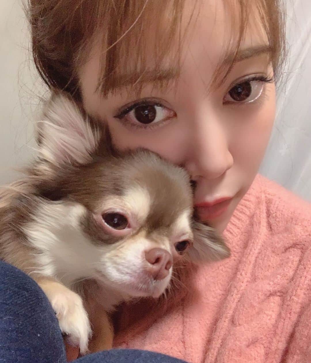 薄井美樹のインスタグラム：「．     さくちゃん甘えんぼうさんで かわいい〜💕ってあそんでたら バンビがすごい顔でみてくる🥺   やきもちやいてるのかな🤭？（3枚目）    ．」