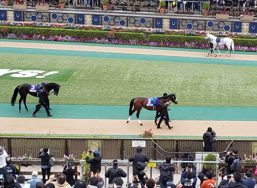 梅田陽子のインスタグラム