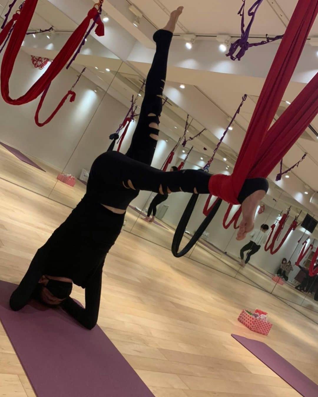 萬田久子さんのインスタグラム写真 - (萬田久子Instagram)「『逆さになってHISAkOはナニ想う💋』﻿ ﻿ #エアリアルヨガ﻿ #空中ヨガ﻿ #ヨガ﻿ #yoga﻿ #萬田久子」11月29日 22時47分 - hisako.manda_official