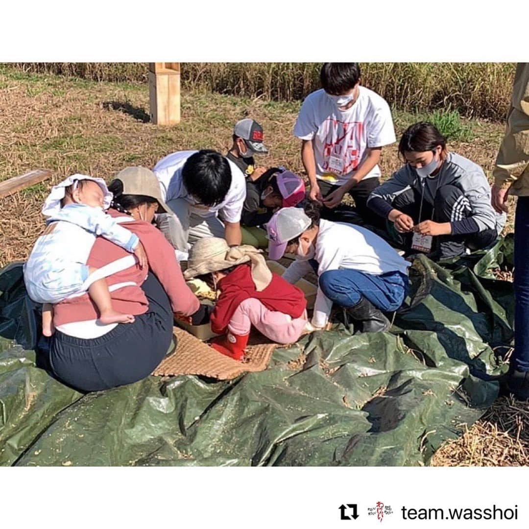 安藤モモ子さんのインスタグラム写真 - (安藤モモ子Instagram)「はや1週間 次はお味噌づくりで😊  @team.wasshoi with @make_repost ・・・ 2020/11/22(日)  わっしょい！が初めて挑戦した大豆の栽培。 はじめての収穫＆脱穀祭はお天気にも恵まれ、 子どもたちの輝く笑顔の花が咲く一日となりました✨  ご参加・ご協力いただいたすべての皆さま、 本当に本当にありがとうございました。  まずは、農と生きもの研究所・谷川徹先生に教えて頂きながらみんなで初めての脱穀体験！ 干した大豆を袋に入れてサヤごと、リズムよくハンマーのようなヨコツチという道具で叩く原始スタイル。美空ひばりさんの「お祭りマンボ」♪をBGMに、わっしょい！わっしょい！ 一生懸命叩いていると、かわいい大豆さんたちが顔を出します。乾燥したサヤがポンポン弾ける感触が楽しい！  記念すべき初採れ大豆✨ 在来種を含む、自然の中でたくましく育った大豆をいくつか収穫することができました。  そして今回、残念ながら枯れてしまった大豆もあります。 「なんで枯れたのかな？」を振り返るミニトークでは、命の育みを子供たちと共に考える時間もありました。  腹ぺこランチタイムはそれぞれ自慢のお弁当を広げ、「ark and soil」さんの茗荷スープとファームベジコさんのキュウリもいただきました。  午後からは子どもたちもお待ちかね、畑の生きものツアー！ 畑や田んぼに暮らす元気な生きものたちの生活にちょっとだけお邪魔してみんなで観察会。 大きなバッタや、お腹の色の違ういろんな種類のカエルも発見し、高知大学生チーム作成の「畑のいきもの＆しょくぶつビンゴ」で大盛り上がりでした！ 観察した後は生きものたちにお礼を言って、大切にもとの場所へお帰りいただきました。  大空に見守られながら、土に触れ、様々な命の輝きに出会い、子どもも大人も元気いっぱい「楽しかった！」と最後まで笑顔。スタッフは胸いっぱいでウルッときました。  今回の収穫＆脱穀祭は、 参加いただいた子どもたちと保護者の皆さま、わっしょい！メンバー、木製方舟キッチンカーの「ark and soil」チーム、応援いただいている地域の「西戸原みらい塾」の皆さま、いつも心強い高知大学生、企業の皆さまと、想いを共にする様々な方々が集い、無事に開催することができました。 この場をお借りして、心より感謝を申し上げます。  次回は来年1月30日(土) 収穫＆脱穀した大豆も使った、 『親子でみそづくり with LIVE music！』を 開催予定です！ 詳細は改めてお知らせいたしますので、 ぜひお楽しみに！  #わっしょい #子どもたちの未来 #安藤桃子 #谷川徹 #農と生きもの研究所  #arkandsoil #西戸原みらい塾 #収穫祭 #脱穀  #高知 #春野 #諸木」11月29日 23時13分 - momokoando