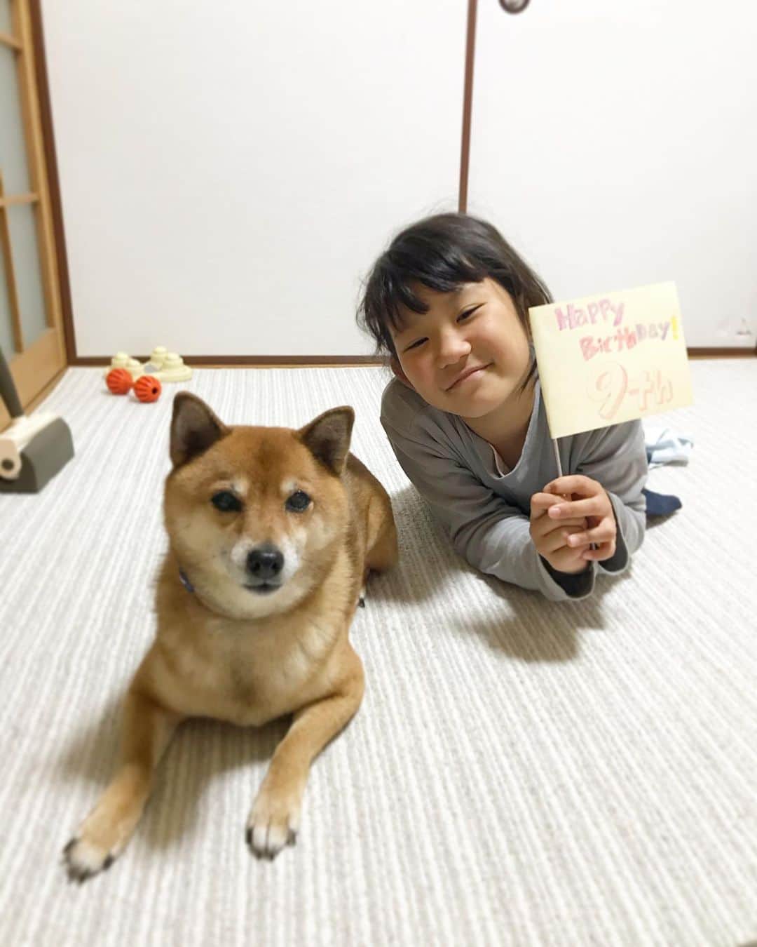 柴犬はなこ Shibainu Hanakoのインスタグラム：「今日は娘ちゃん9才の誕生日でした🎉　スクスクと大病もせず元気に賢く育ってくれています。生意気でおませさんで、時々周りをドキッとさせるけど💦　はなこと仲良く、これからもみんなで成長していこうね🍀 #shiba #dog #shibainu #kid #hbd #犬 #柴犬 #犬とこども #9才おめでとう  旗は私が描いて、娘ちゃんが色と模様を着けました🎨」