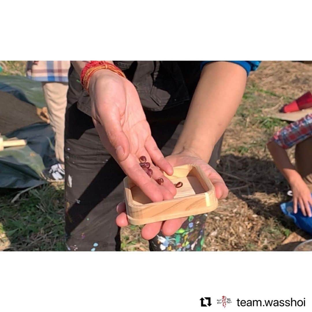安藤モモ子さんのインスタグラム写真 - (安藤モモ子Instagram)「収穫最初のご報告は、子どもたちと親子で、すぐ近くの氏神様に。 ありがとうございました。 そして、また来年も宜しくお願い申し上げます！  @team.wasshoi  ・・・ 「わっしょい！」という名の如く、 収穫させて頂いた大豆をまずは畑の氏神様「諸木八幡宮様」へ御奉納！ 子どもたち、お父さん、お母さんたちと一緒に「ありがとうございます！」と御奉納させていただきました。  神様に祈りを捧げる神社のお祭りは、地域の人々が集うコミュニティや情報交換の場でもあります。氏神様は、かつては今で言う「種の交換会」の場として、また奉納は「シードバンク」としての役割もあったそうです。 地域のお百姓さん達がそれぞれの種を自慢し合ったり、交換し合ったりする風景が目に浮かび、幸せな気持ちになりました。 子供たちがわんさか集う境内は生き生きと、風が通り抜けて心地よかったです。  諸木地域とのご縁に感謝し、わっしょい！は、これからも地域の皆さまと一緒に子どもたちの輝く未来のために活動して参ります。  #わっしょい #諸木八幡宮 #大豆の御奉納 #収穫祭 #安藤桃子」11月29日 23時20分 - momokoando