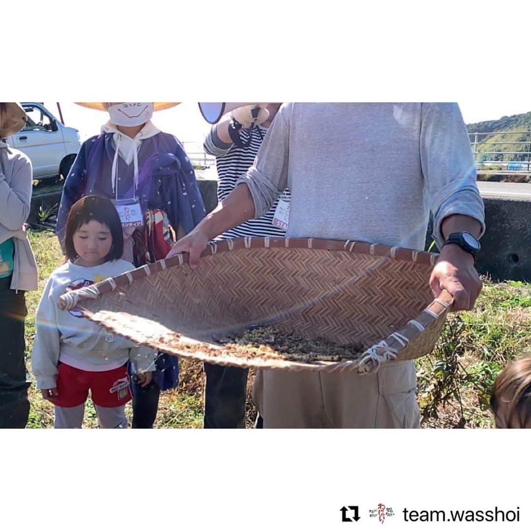 安藤モモ子のインスタグラム：「収穫最初のご報告は、子どもたちと親子で、すぐ近くの氏神様に。 ありがとうございました。 そして、また来年も宜しくお願い申し上げます！  @team.wasshoi  ・・・ 「わっしょい！」という名の如く、 収穫させて頂いた大豆をまずは畑の氏神様「諸木八幡宮様」へ御奉納！ 子どもたち、お父さん、お母さんたちと一緒に「ありがとうございます！」と御奉納させていただきました。  神様に祈りを捧げる神社のお祭りは、地域の人々が集うコミュニティや情報交換の場でもあります。氏神様は、かつては今で言う「種の交換会」の場として、また奉納は「シードバンク」としての役割もあったそうです。 地域のお百姓さん達がそれぞれの種を自慢し合ったり、交換し合ったりする風景が目に浮かび、幸せな気持ちになりました。 子供たちがわんさか集う境内は生き生きと、風が通り抜けて心地よかったです。  諸木地域とのご縁に感謝し、わっしょい！は、これからも地域の皆さまと一緒に子どもたちの輝く未来のために活動して参ります。  #わっしょい #諸木八幡宮 #大豆の御奉納 #収穫祭 #安藤桃子」