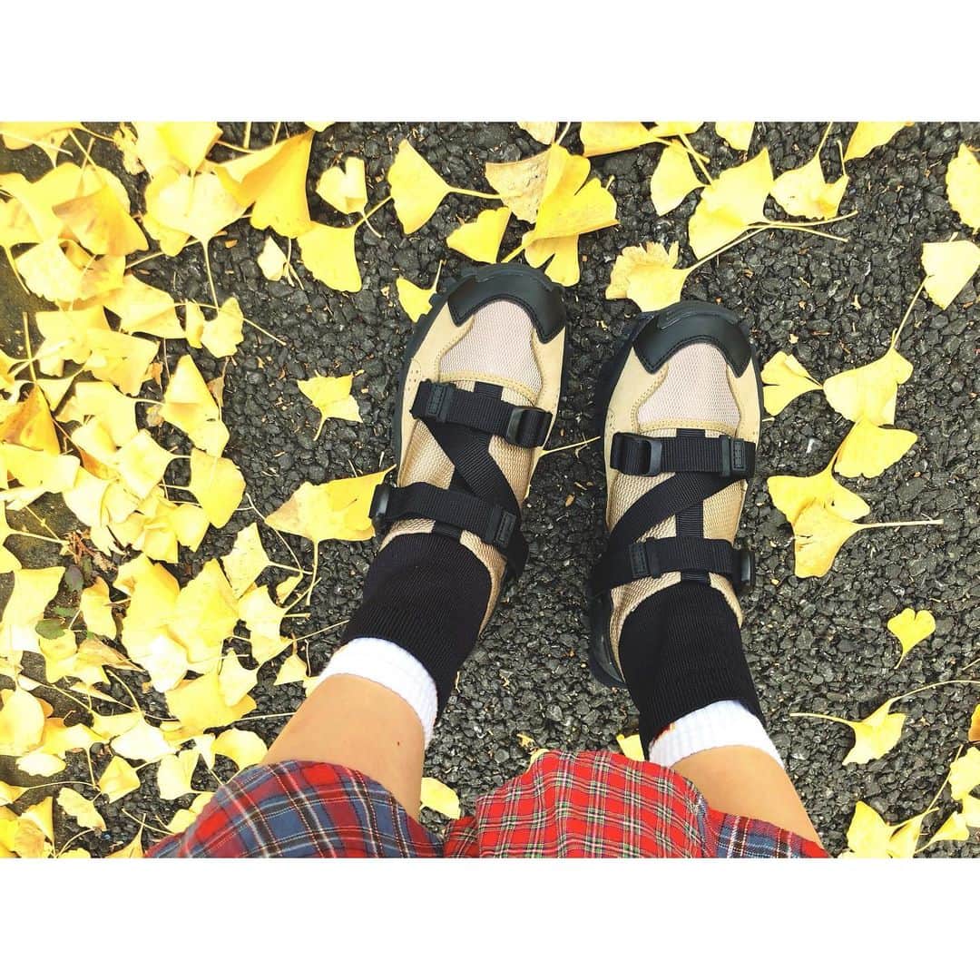 木南晴夏さんのインスタグラム写真 - (木南晴夏Instagram)「🍁🧡👟  #adidashyke」11月29日 23時21分 - kinamitopan