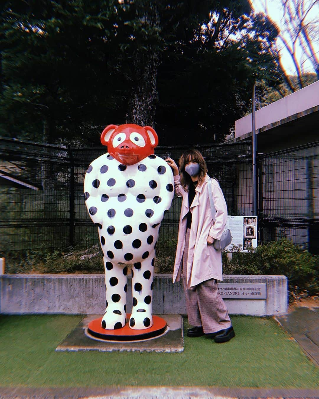 森彩乃さんのインスタグラム写真 - (森彩乃Instagram)「動物園に行ってからというもの、毎日、動物のことを考えている。寝る前にYouTubeで野生動物たちの狩りや死闘の動画を観ている。もしも生まれ変わるならまた人間で、次は男に生まれたいと、ずーっと思っていたけど、先月くらいから、次はもう人間じゃなくてタツノオトシゴがいいなあと思っていたが、動物園行ってからは、虎がいい。野生の虎がいい。って、もしも生まれ変わるのなら、ね。わかんないよね、だって未経験だから。」11月29日 23時46分 - moriayano1119