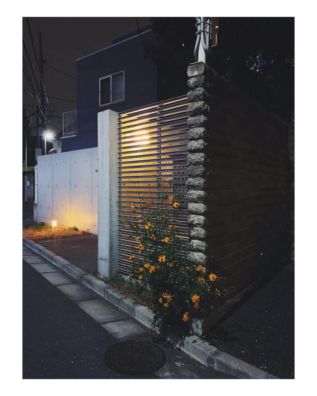 中村祐太郎のインスタグラム：「#ユニコーン好きな人と繋がりたい」