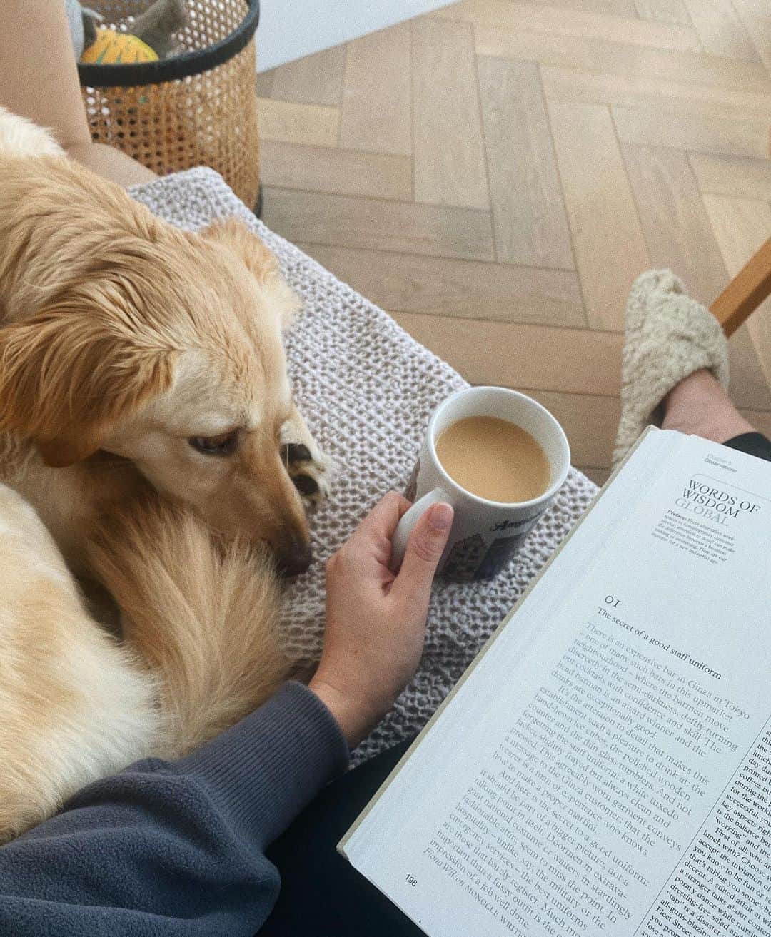 Estée Lalondeのインスタグラム：「Petition to add Sunday2 to the end of the week ☕️.」