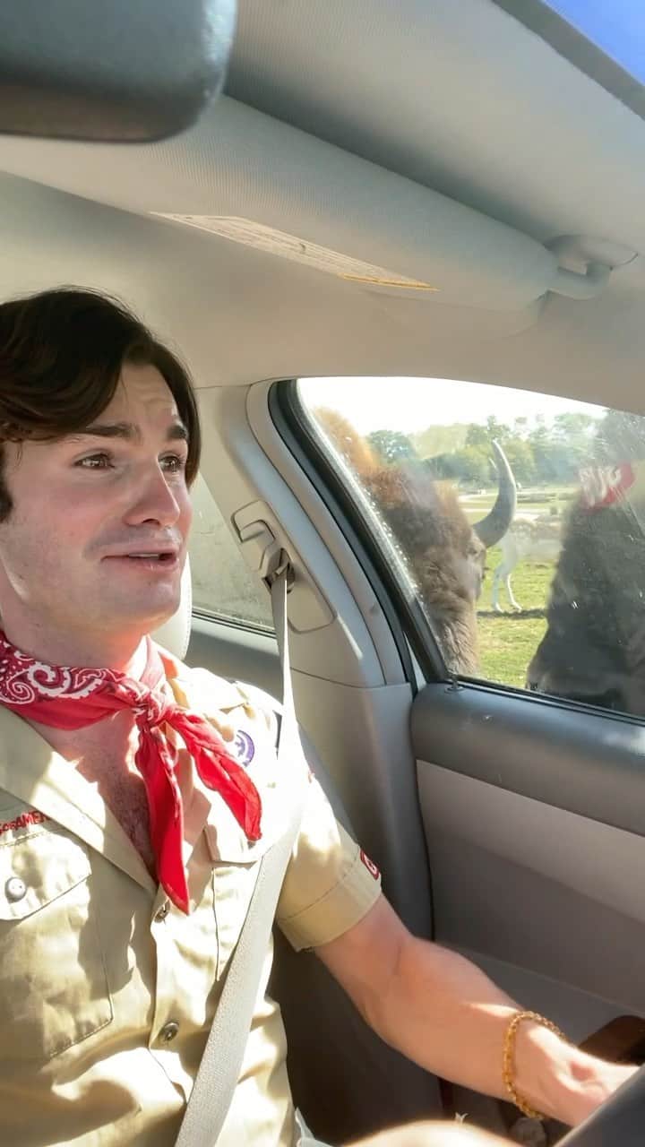 DYLAN MULVANEYのインスタグラム：「*I AM NOT A BOY SCOUT it’s a Halloween costume* Raw footage, sound up // also before I get dragged for feeding them, the wildlife park I was at gave everyone bread to feed #animals #gay #bison #lgbt」
