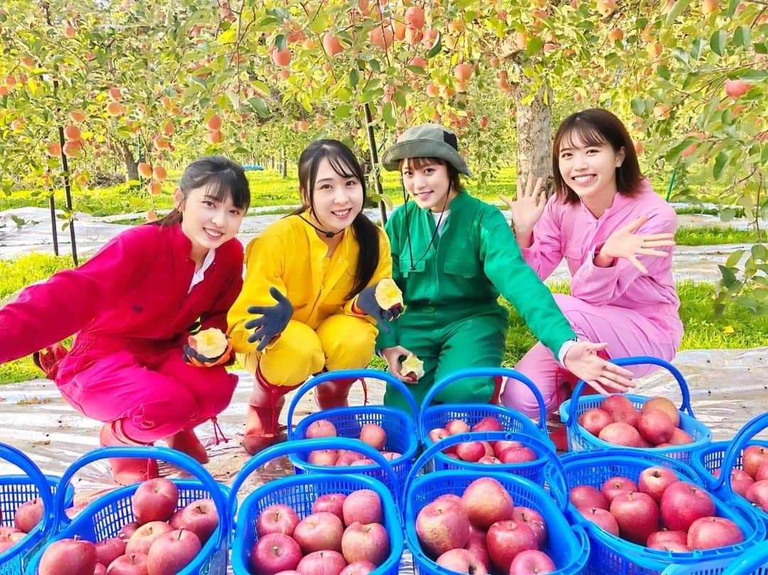 りんご娘さんのインスタグラム写真 - (りんご娘Instagram)「🍎お知らせ🍏 RINGOMUSUMEがお手伝い＆収穫したりんご販売企画、「サンふじ」の販売が決定しました!! 12月1日18時から予約販売開始、これが今期最後になりますのでぜひお買い求めください!! http://ringomusume.com/2020/10/2478.html  メンバーの収穫動画はストーリーから🍎  #RINGOMUSUME #りんご娘 #サンふじ」11月30日 14時10分 - _ringo.musume.com_