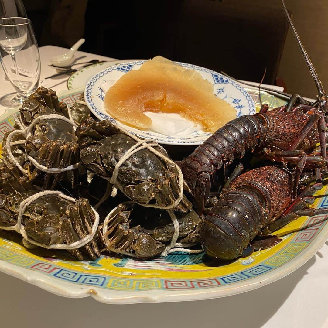 岡田祐佳さんのインスタグラム写真 - (岡田祐佳Instagram)「フカヒレ🐟  伊勢海老🦞 上海蟹🦀‼️  ワキヤ 一笑美茶樓✨  子供達も大興奮😍  しかも脇谷シェフがお忙しいのにわざわざご挨拶しにきてくださり お話したところ結実と以前お仕事ご一緒したことがあるとのこと。  なんとまぁ🤗✨  ご縁に感謝❤  約１ヶ月前の話だけど、 上海蟹食べたい食べたい言うてたら叶った。 隆之介と結実のYouTubeチャンネル開始の決起会？みたいになったけど 理由はどうであれ みんなで楽しく美味しいものがいただけて感謝と感動しかない日でした。  写真10枚目 YouTubeスタートな画？  岡田兄妹チャンネル  https://m.youtube.com/channel/UCZCmOnUthBr7tYZc-o_DZqg  #上海蟹 #伊勢海老 #フカヒレ #牛  #わきや  #ワキヤ #笑美茶樓 #願えば叶う   #岡田兄妹 #youtube #岡田チャンネル」11月30日 12時47分 - yukachin719