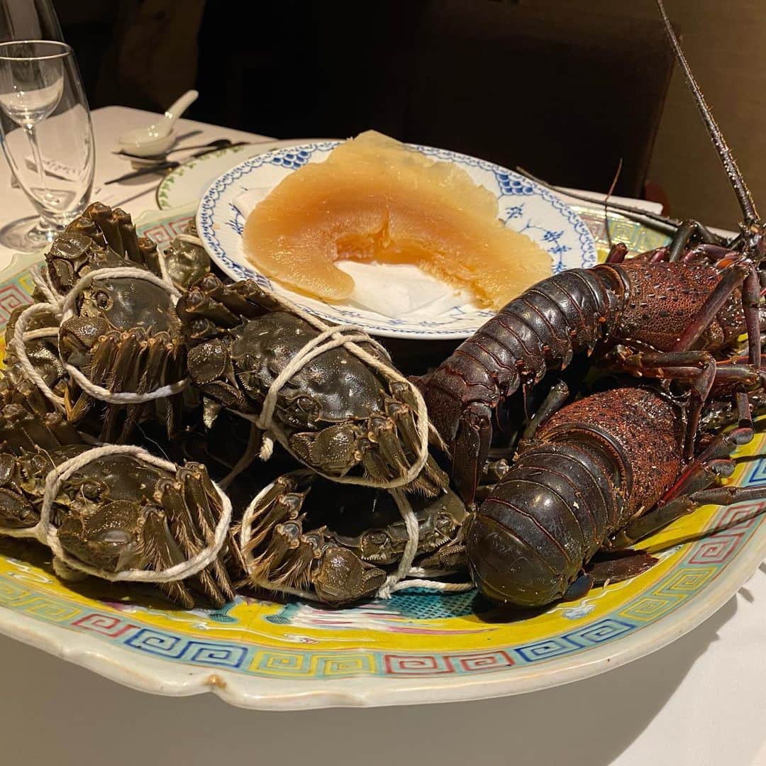 岡田祐佳のインスタグラム：「フカヒレ🐟  伊勢海老🦞 上海蟹🦀‼️  ワキヤ 一笑美茶樓✨  子供達も大興奮😍  しかも脇谷シェフがお忙しいのにわざわざご挨拶しにきてくださり お話したところ結実と以前お仕事ご一緒したことがあるとのこと。  なんとまぁ🤗✨  ご縁に感謝❤  約１ヶ月前の話だけど、 上海蟹食べたい食べたい言うてたら叶った。 隆之介と結実のYouTubeチャンネル開始の決起会？みたいになったけど 理由はどうであれ みんなで楽しく美味しいものがいただけて感謝と感動しかない日でした。  写真10枚目 YouTubeスタートな画？  岡田兄妹チャンネル  https://m.youtube.com/channel/UCZCmOnUthBr7tYZc-o_DZqg  #上海蟹 #伊勢海老 #フカヒレ #牛  #わきや  #ワキヤ #笑美茶樓 #願えば叶う   #岡田兄妹 #youtube #岡田チャンネル」