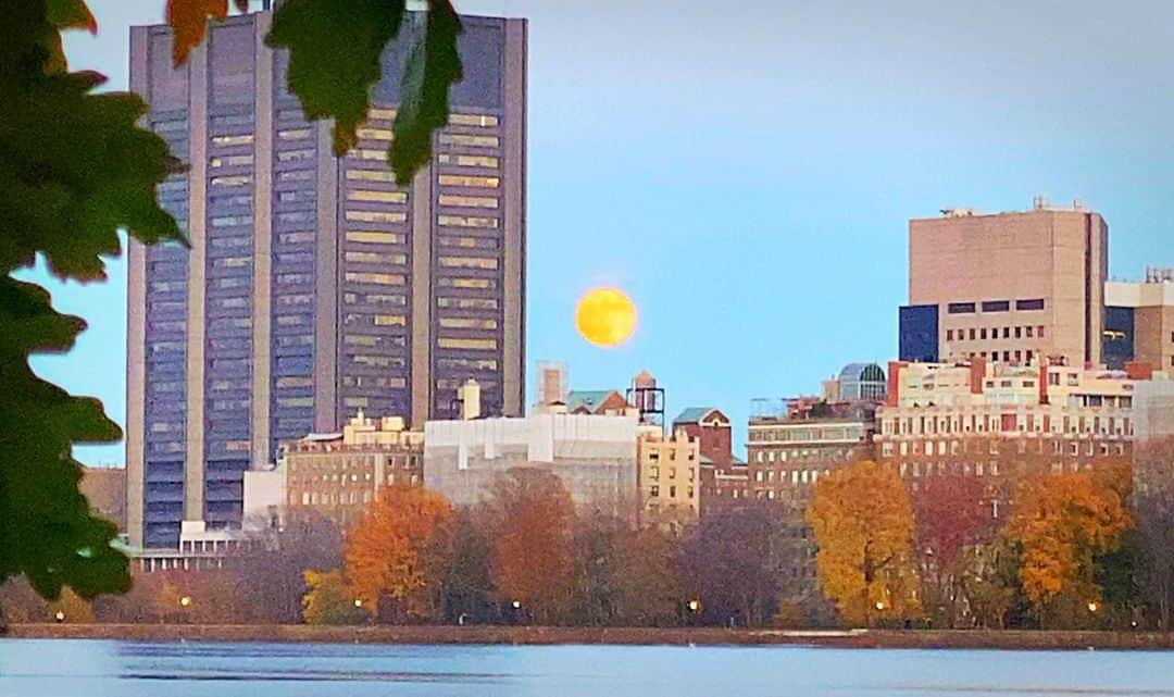 ラファエル・スバージさんのインスタグラム写真 - (ラファエル・スバージInstagram)「#moonrise over #manhattan   #fullmoon so bright.   @centralparknyc #fullbeavermoon」11月30日 12時51分 - raphaelsbarge