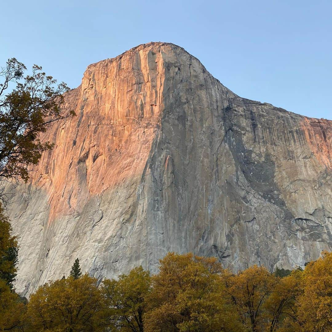 道端ジェシカのインスタグラム：「Yosemite🌲🪨🐻🦌🦅🦉🐰🙏🏼💚」