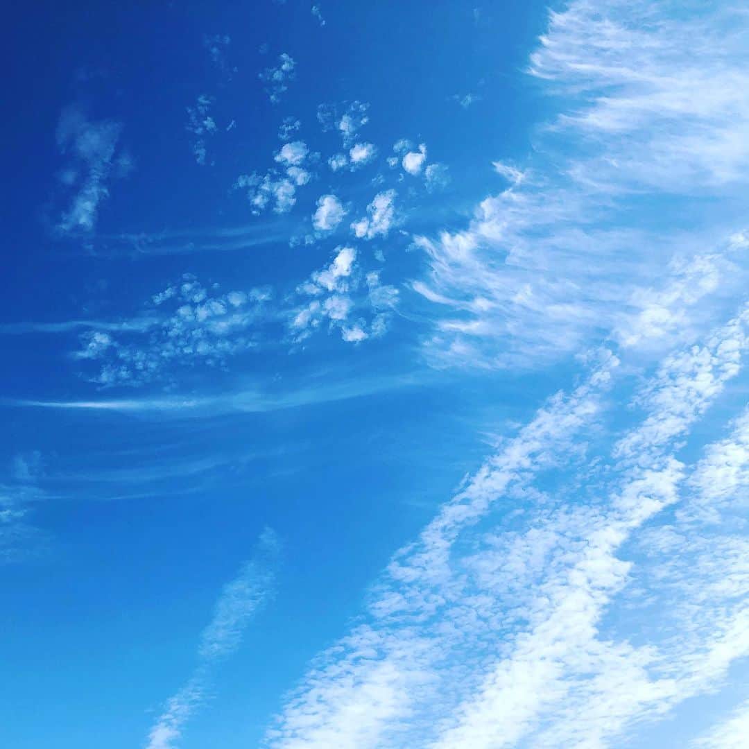 川坂勇太のインスタグラム：「からの今日の空  加工した方が綺麗だったので加工あり。  #いまそら #tokyo #sky」