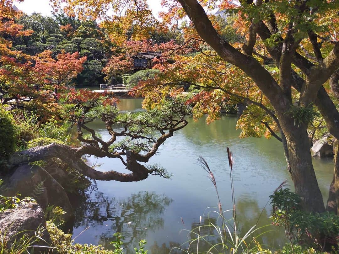 優木瑛美のグルメインスタ