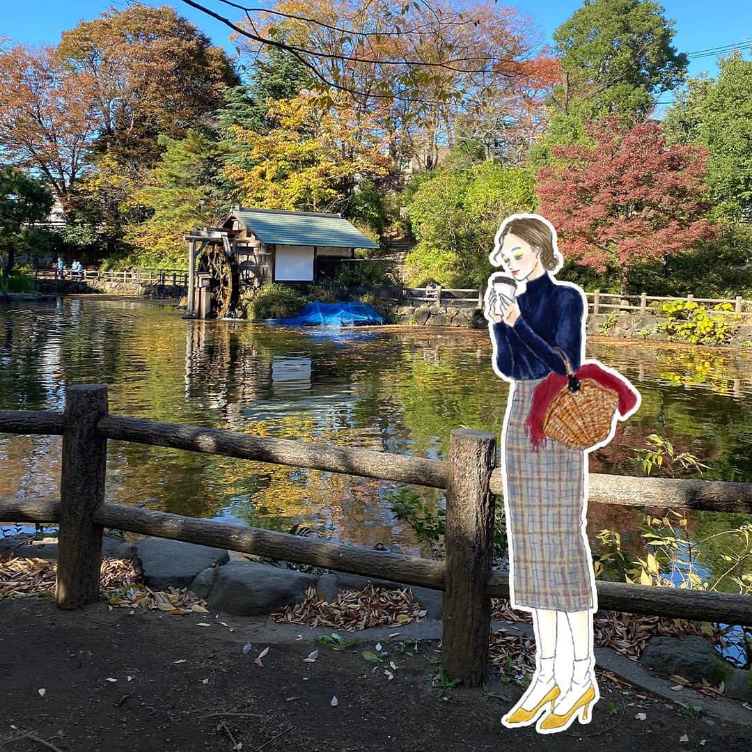 のインスタグラム：「寒くなってきましたが、秋晴れが続き、お散歩には気持ちのいい日差しですね🙌﻿ #鍋島松濤公園　は渋谷駅から松濤へ向かって歩くと、閑散した住宅のなかにあります。﻿ 途中で暖かいコーヒーを買って、公園中にある、池近くのベンチで座ってゆっくり飲むのがおすすめです☕️🍂﻿ ﻿ ここは、よくドラマの撮影でも使われていて、たまに撮影も行われています🎥﻿ 都会の中で自然も感じれる素敵なスポットでデートにもおすすめ❤️﻿ ﻿ #tnql #お散歩コーデ #松濤 #コーディネート #おしゃれ  #イラストレーターさんと繋がりたい #おしゃれさんと繋がりたい ﻿ ﻿」