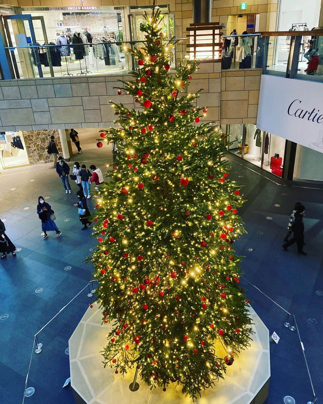 近藤亜美のインスタグラム：「🎄✨✨」