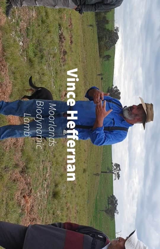 デビッド・ポーコックのインスタグラム：「I spent a day helping plant trees at @heffernanvince farm, Moorlands. Such a fun day with friends and very satisfying planting trees (we planted 1800 in total - a mix of eucalypts and shrubs) and supporting a farmer like Vince. Regenerative agriculture has a crucial role to play in restoring degraded land and drawing carbon out of the atmosphere.   Check out @kissthegroundmovie to learn more.  The tree planting was supported by the good people at @greeningaustralia.」