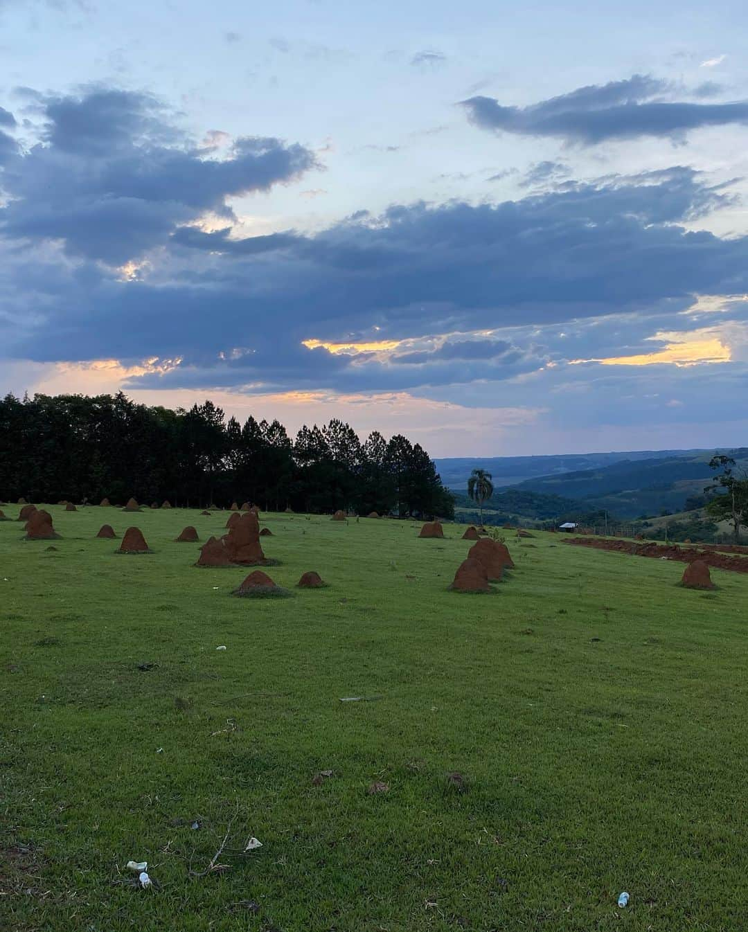 ポリーナ・ラヒモワさんのインスタグラム写真 - (ポリーナ・ラヒモワInstagram)「Today was  a nice walk in nature. #lovenature #botucatu #cuestocafe #outofcourt #animalslover #happy」11月30日 7時03分 - polina_rahimova