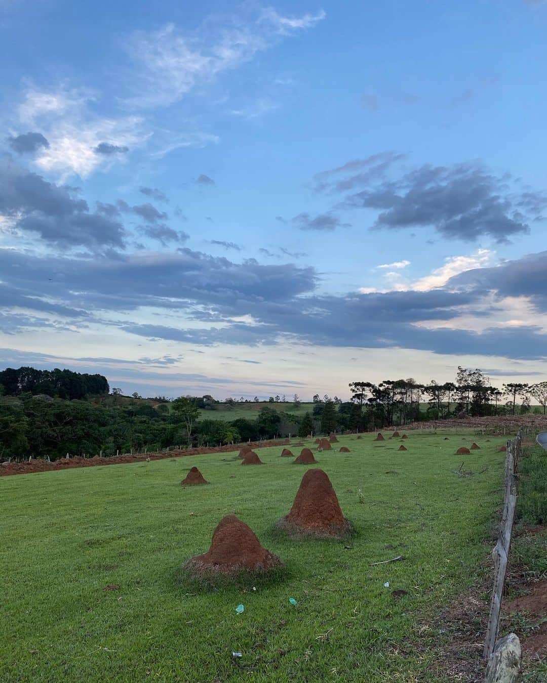 ポリーナ・ラヒモワさんのインスタグラム写真 - (ポリーナ・ラヒモワInstagram)「Today was  a nice walk in nature. #lovenature #botucatu #cuestocafe #outofcourt #animalslover #happy」11月30日 7時03分 - polina_rahimova